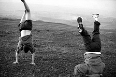 7839599598_e5c0b51109_m