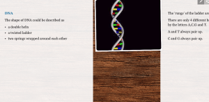 Screen Shot 2015-09-25 at 9.53.17 am