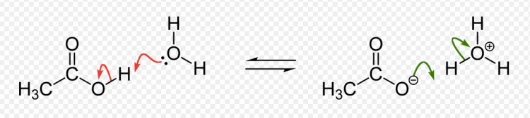 Screen Shot 2017-03-13 at 9.44.46 AM.png