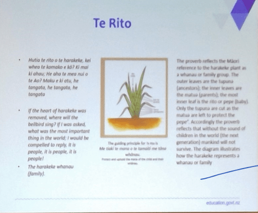 Screen Shot 2019-01-28 at 9.22.30 AM.png